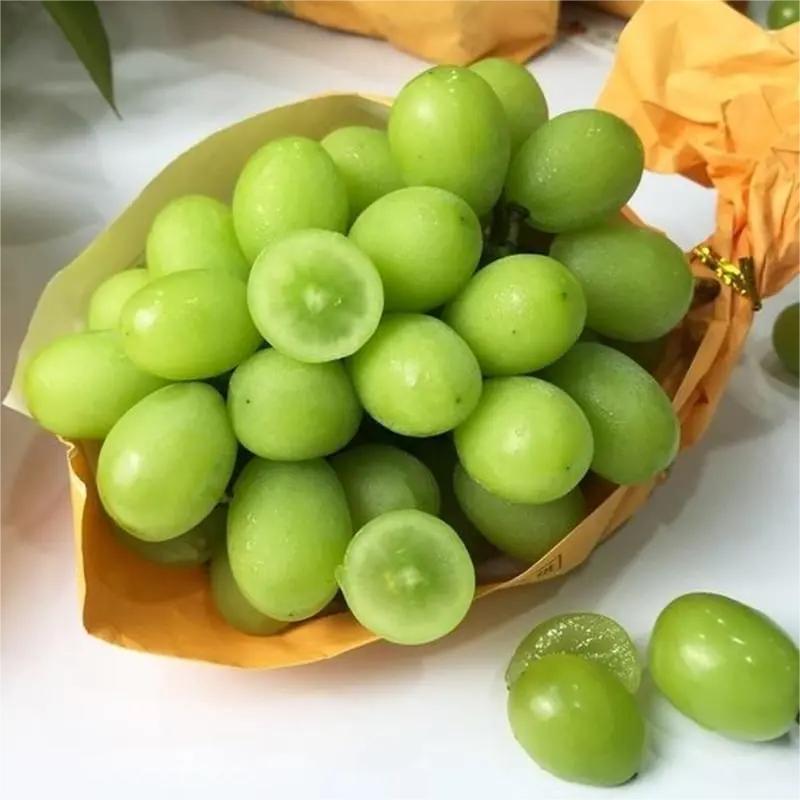 玉龙玫瑰 秋天清脆小图